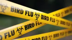 Delhi zoo closes following bird flu outbreak: The symptoms and health risks humans should not ignore