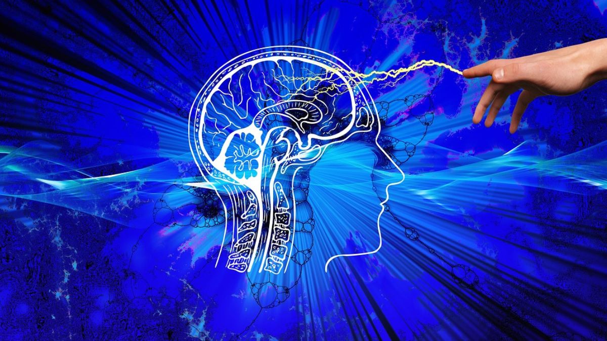 MedGenome unveils whole genome test for accurate brain tumour diagnosis – Healthcare News