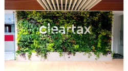 Clear’s topline growth bounces back on B2B pivot