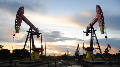 Oil imports from Russia steady in August