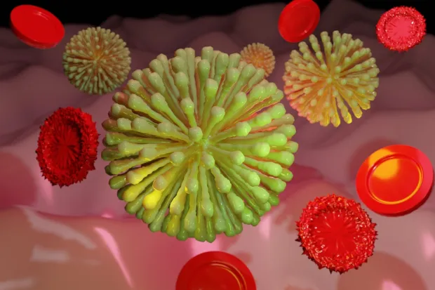 Neuropods act like vigilant sentinels in your digestive system, constantly monitoring microbes and instantly relaying what’s happening inside to your brain, shaping your feelings of fullness and hunger in real time.