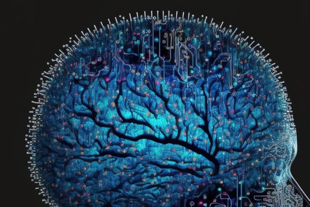 The signals from your gut travel along the vagus nerve - a major communication highway - sending lightning-fast alerts to help regulate how much you eat. This nerve connection may hold keys to healthier eating habits.