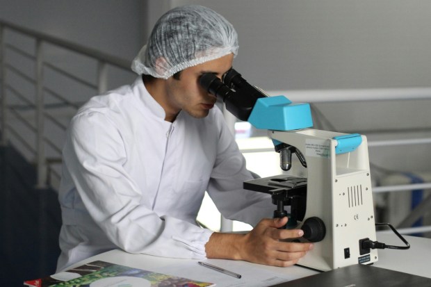 Dr. Diego Bohórquez, one of the lead researchers quoted in a press statement, saying that they wanted to find out if our body could sense bacteria in real time, not just through the immune system, but also through the nervous system  and it turns out, it can. (Image: Pexels)