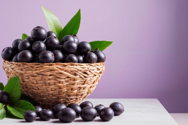 JamunJamun, or Indian Blackberry, is a deep purple fruit that’s packed with vitamin C, iron, and antioxidants. It strengthens your immune system, improves blood circulation, and supports digestion - something we all need during the rainy season. Its astringent properties help prevent diarrhea and indigestion, while its compounds can help manage blood sugar levels, making it a great choice for diabetics. Plus, its anti-inflammatory benefits boost overall health. (Image: Freepik)