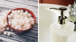 Harvard-trained gut doctor’s warning: Ditch artificial sweeteners, antibacterial soaps, and these everyday toxins