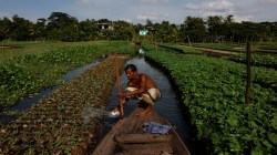 More states to join Fasal Bima scheme from next rabi season