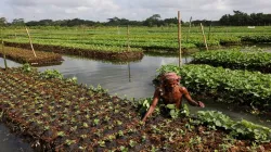 MCX to onboard farmers’ collectives for futures trade soon
