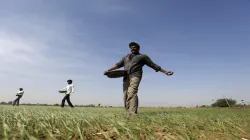 Fertiliser imports rise 5% in April-July amid supply crunch
