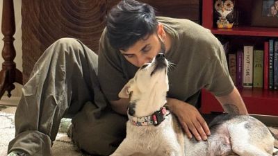 ‘Dogs can rely on your empathy’: Comedian Vir Das thanks SC for modifying stray dogs order