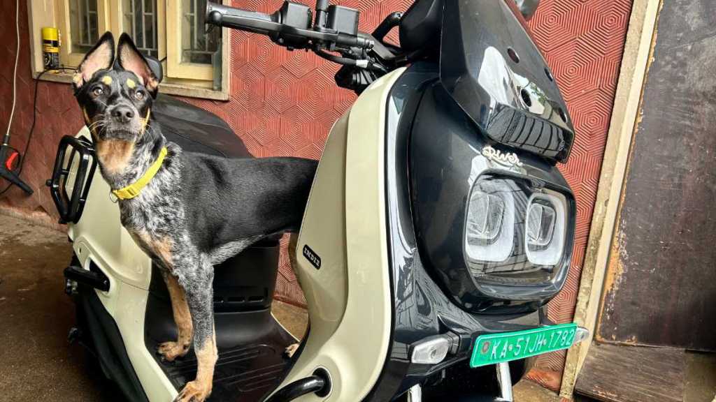 River Indie EV review: Truly versatile, totally dependable