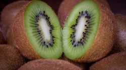 Harvard Gastroenterologist reveals compelling reasons why Kiwi is the ultimate gut superfood