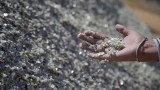 EV, auto, defence, semiconductor, rare earth, manufacturers