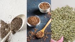 Harvard-trained gastroenterologist reveals 5 best seeds for gut health and digestion