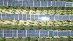 Hinduja aims 3X increase in green capacity by 2030
