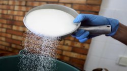 Sugar output to rise 18% in 2025–26: ISMA