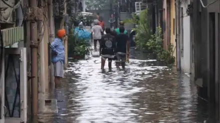 Gujarat rainfall