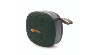 Just Corseca Seagle: A practical speaker for daily listening