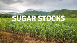 Sugar stocks rally 20% as Govt lifts cap on ethanol production
