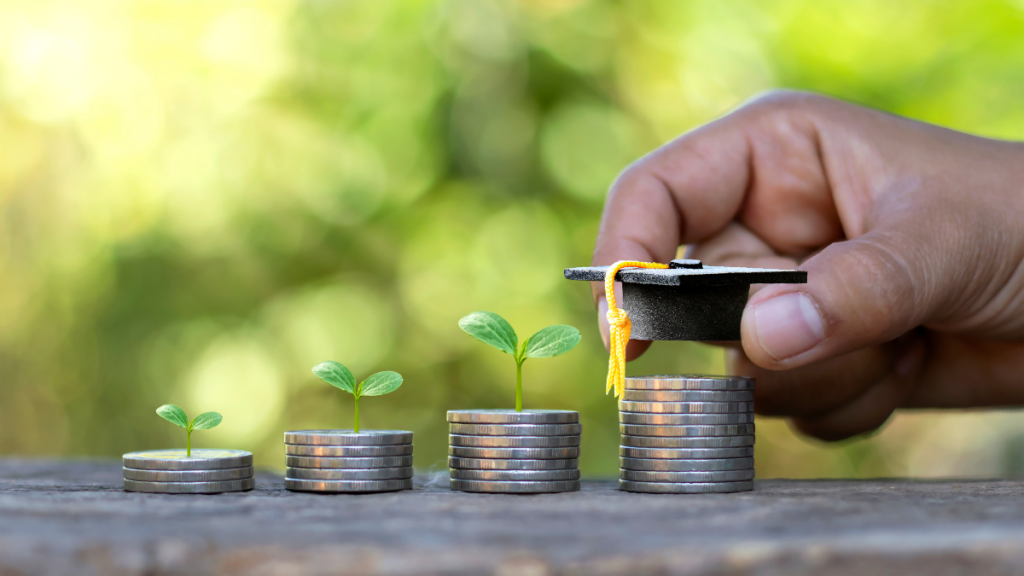 market capitalisation, Tata Mutual Fund, flexi-cap funds, investors