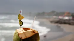 Why coconut water is the ultimate ‘super drink’ for dengue recovery