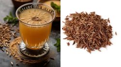 Cumin water or roasted cumin, which is better for digestion? Experts answer
