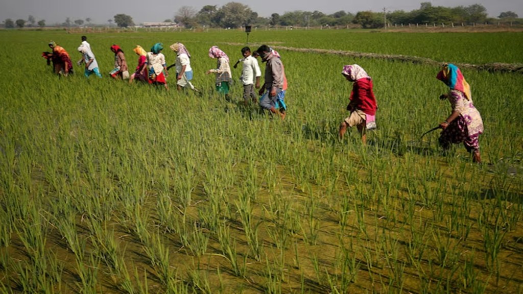 GST Rate Cuts on Agri-Inputs to Boost Farm Income and Mechanisation. (Image Source: Reuters)