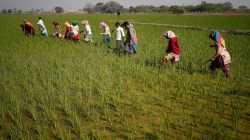 Lower tax on farm inputs to boost incomes, crop yield