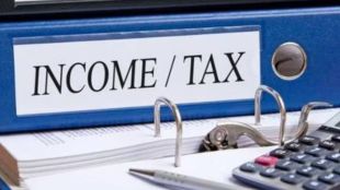 chartered accountant, ca, income tax, nri, nri income tax, india tax