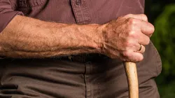 78-year-old retired professor has ‘razor sharp’ brain: Top habits to learn from him and delay brain ageing