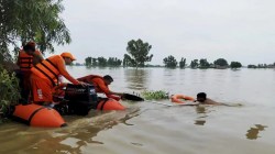 Punjab may join Fasal Bima scheme as floods hit crops