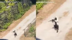 UMass Lowell: ‘5’5 Asian male shooter’ on Massachusetts campus? Police breaks silence after viral video
